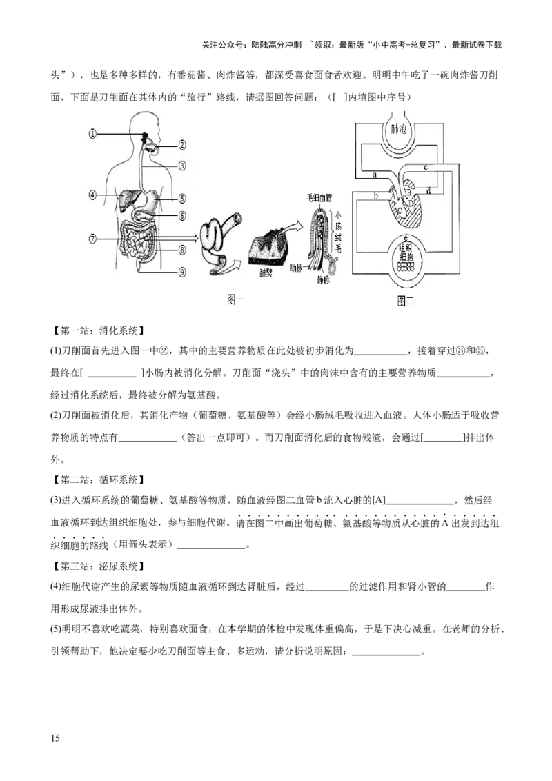 热点三人体生理活动模型构建（测试）（原卷版）_02中考总复习（2026版更新中）_08-生物-中考总复习_2025中考复习资料_2025中考二轮课件ppt+讲义+练习生物_测试