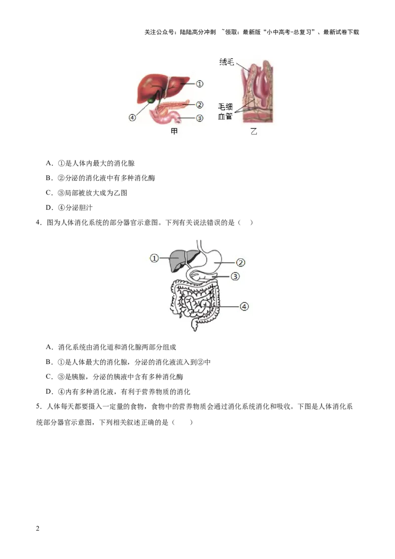 热点三人体生理活动模型构建（测试）（原卷版）_02中考总复习（2026版更新中）_08-生物-中考总复习_2025中考复习资料_2025中考二轮课件ppt+讲义+练习生物_测试