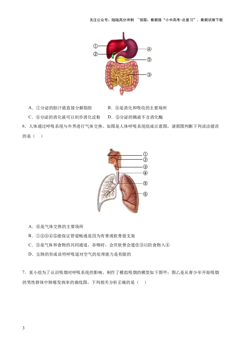 热点三人体生理活动模型构建（测试）（原卷版）_02中考总复习（2026版更新中）_08-生物-中考总复习_2025中考复习资料_2025中考二轮课件ppt+讲义+练习生物_测试