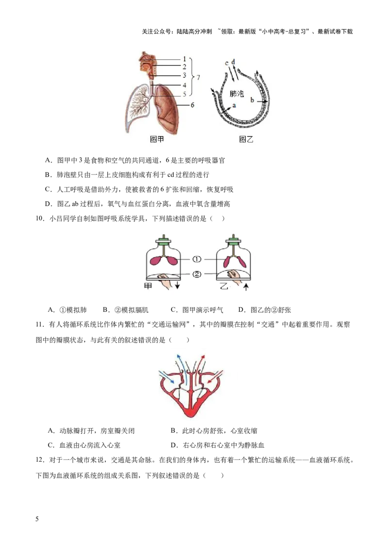 热点三人体生理活动模型构建（测试）（原卷版）_02中考总复习（2026版更新中）_08-生物-中考总复习_2025中考复习资料_2025中考二轮课件ppt+讲义+练习生物_测试