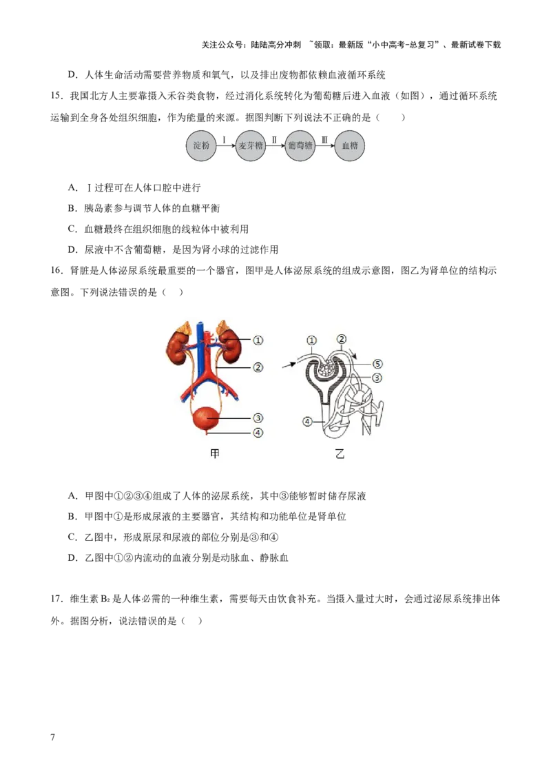 热点三人体生理活动模型构建（测试）（原卷版）_02中考总复习（2026版更新中）_08-生物-中考总复习_2025中考复习资料_2025中考二轮课件ppt+讲义+练习生物_测试