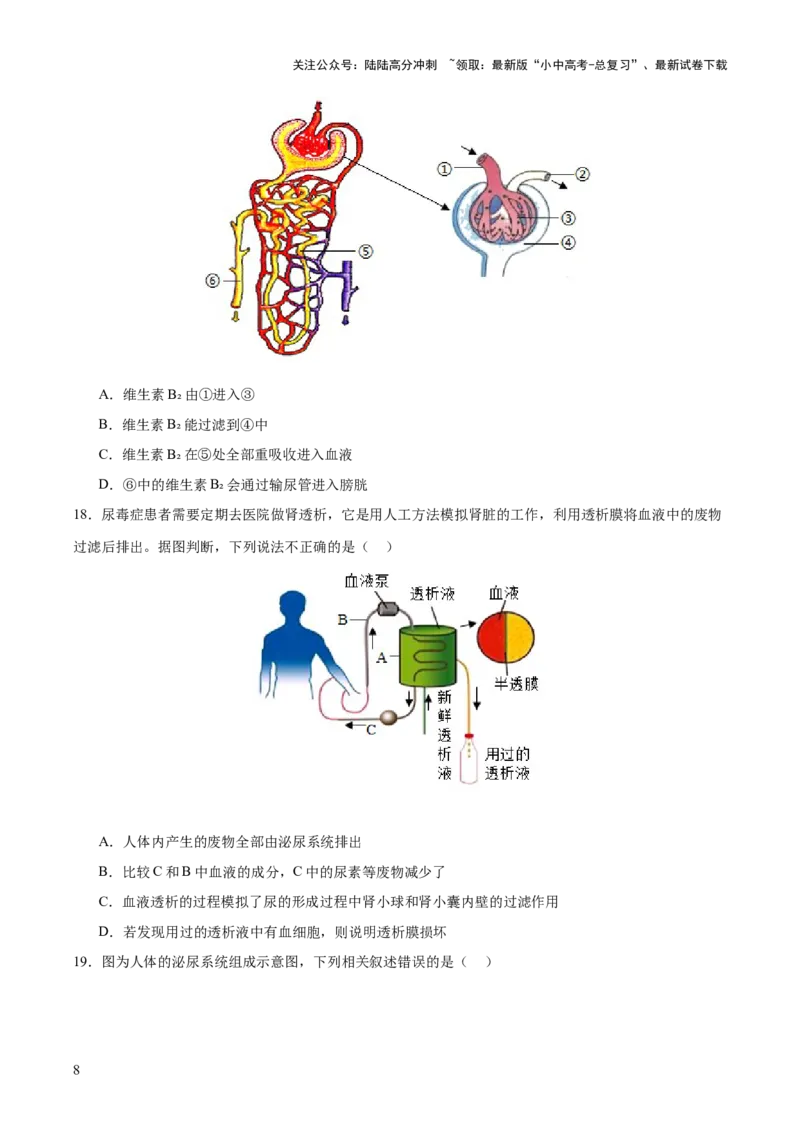 热点三人体生理活动模型构建（测试）（原卷版）_02中考总复习（2026版更新中）_08-生物-中考总复习_2025中考复习资料_2025中考二轮课件ppt+讲义+练习生物_测试