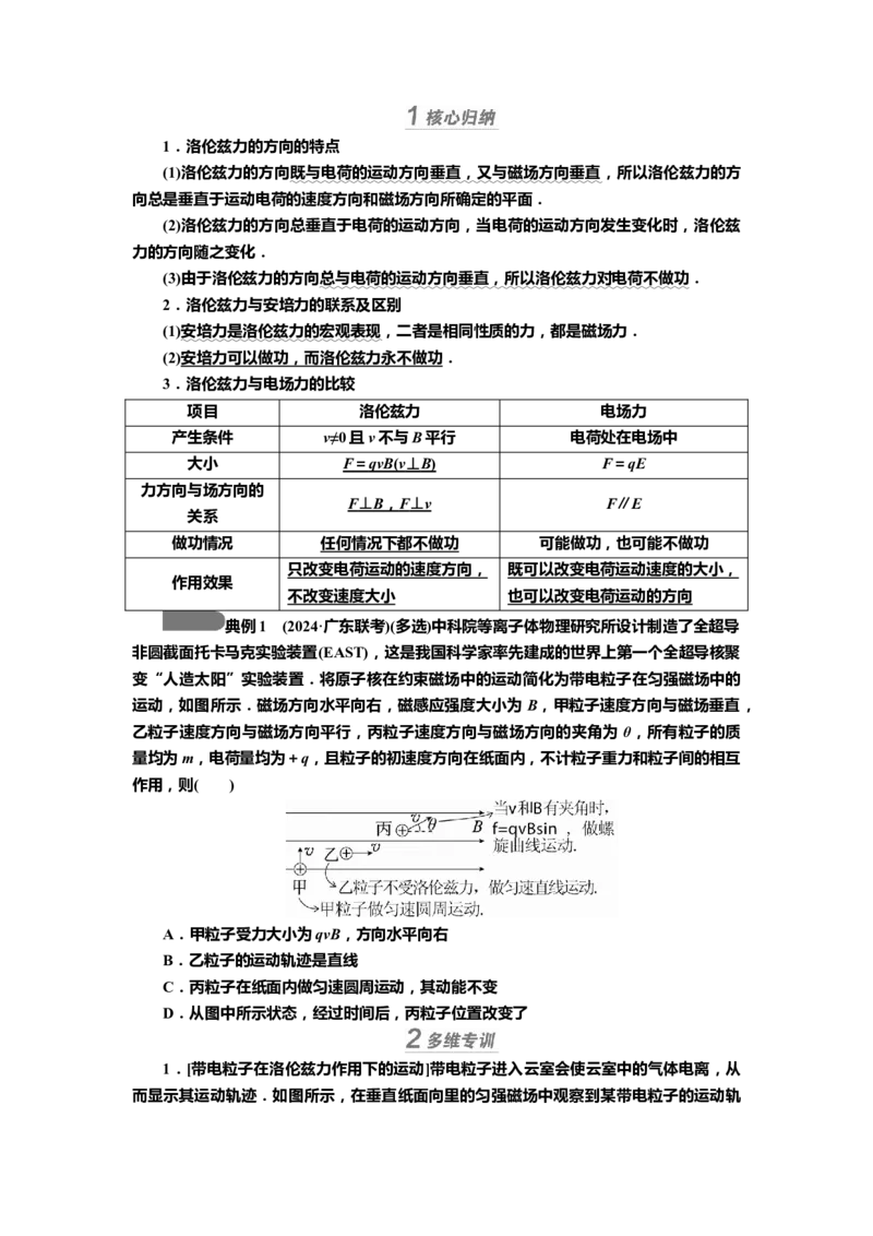 讲义第九章第2讲　磁场对运动电荷的作用（含解析）_4.2025物理总复习_2025年新高考资料_专项复习_2025届高考物理知识梳理课件ppt+讲义（完结）