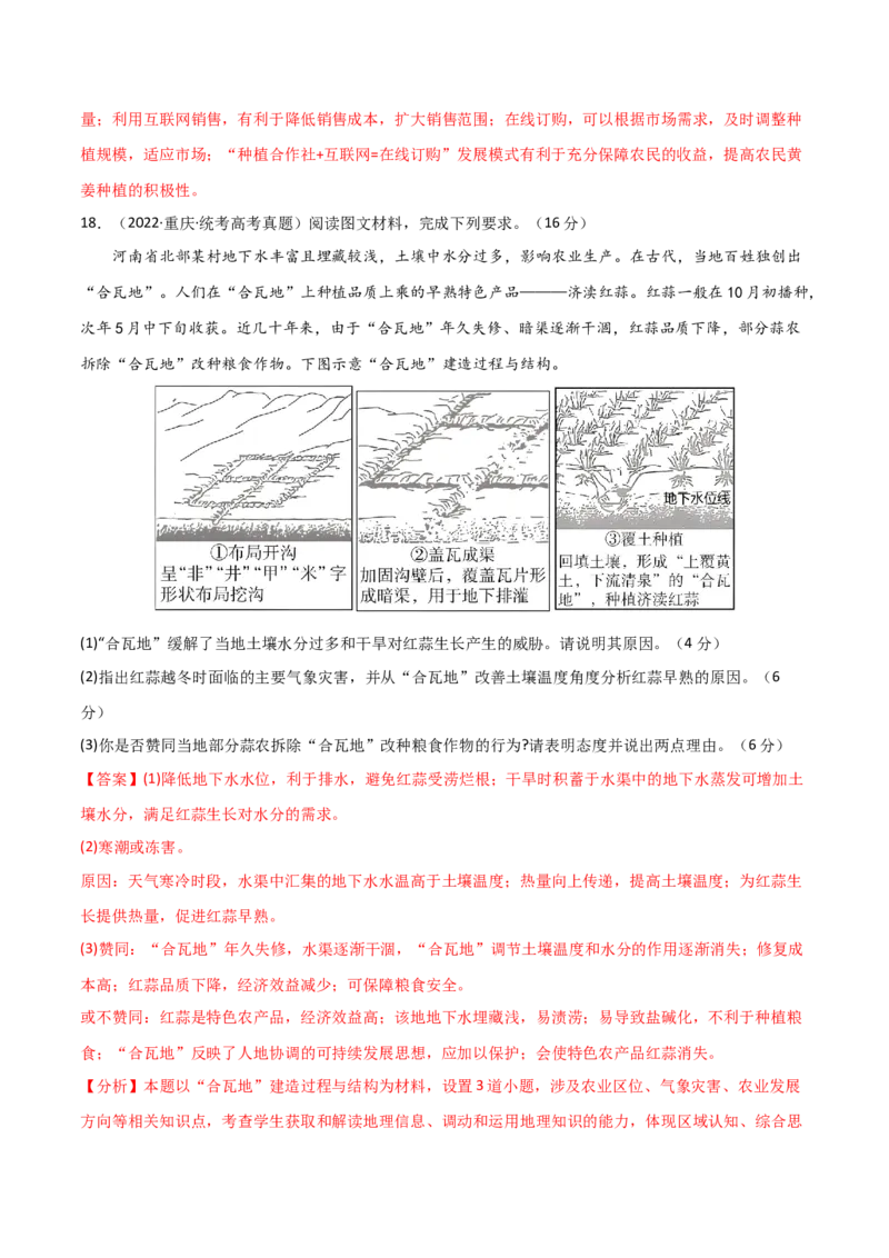 单元提升卷10农业-2024年高考地理一轮复习考点通关卷（新高考通用）（解析版）_9.2025地理总复习_2024年新高考资料_1.2024一轮复习_2024年高考地理一轮复习考点通关卷（新高考通用）