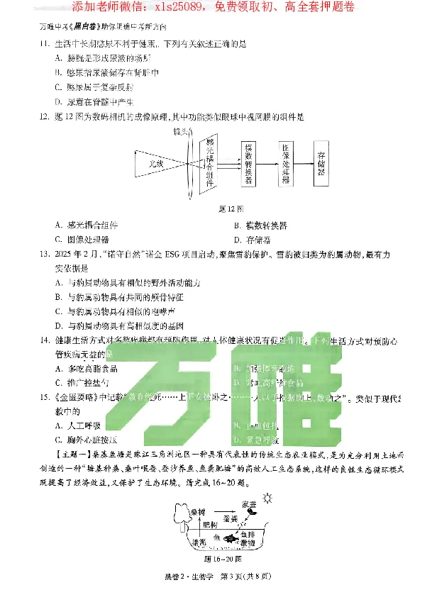 2025《万唯中考&bull;广东黑白卷》生物黑卷_初中资料合集_万唯2025万唯中考《黑白卷-地生》多地版本（已更12省）_2025《万唯中考&bull;黑白卷》地生（广东）