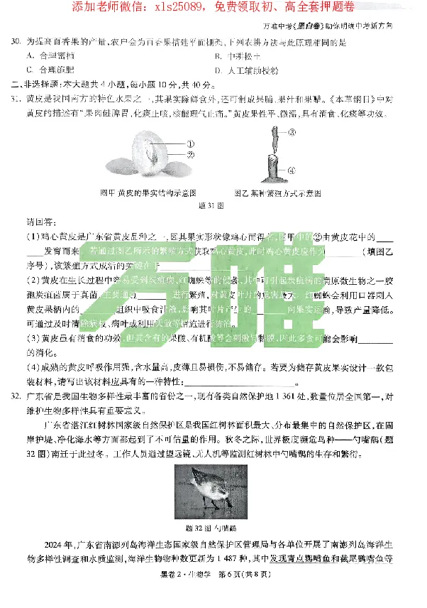 2025《万唯中考&bull;广东黑白卷》生物黑卷_初中资料合集_万唯2025万唯中考《黑白卷-地生》多地版本（已更12省）_2025《万唯中考&bull;黑白卷》地生（广东）