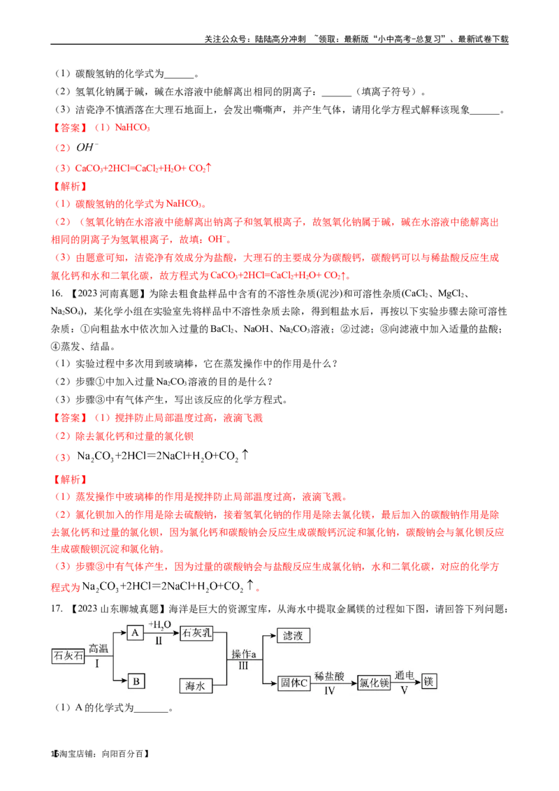 第十一单元盐化肥（讲义）-备战2024年中考化学一轮复习考点帮（人教版）（解析版）_02中考总复习（2026版更新中）_05-化学-中考总复习_2024年中考复习资料_一轮复习资料_考点过关讲义
