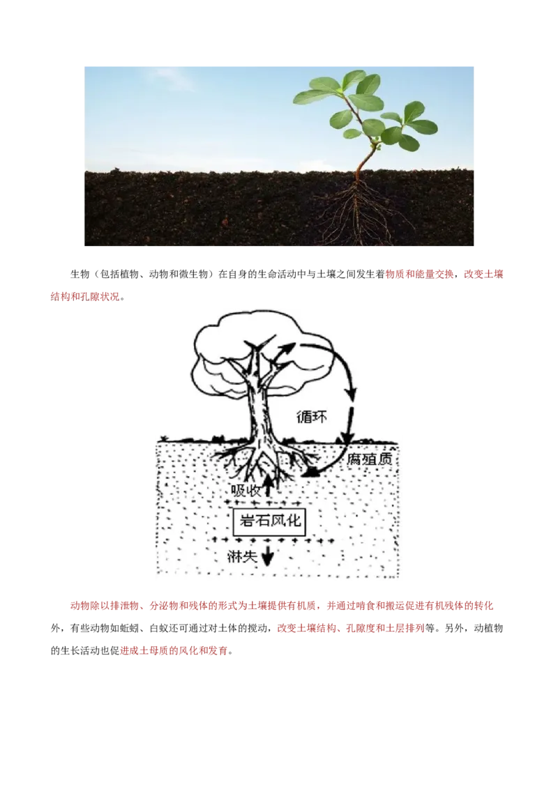 地理微考点：土壤形成因素-备战2023年高考总复习地理微考点狙击与专项突破_9.2025地理总复习_2023年新高考复习资料_专项复习_备战2023年高考地理总复习微考点狙击与专项测练_先导辑