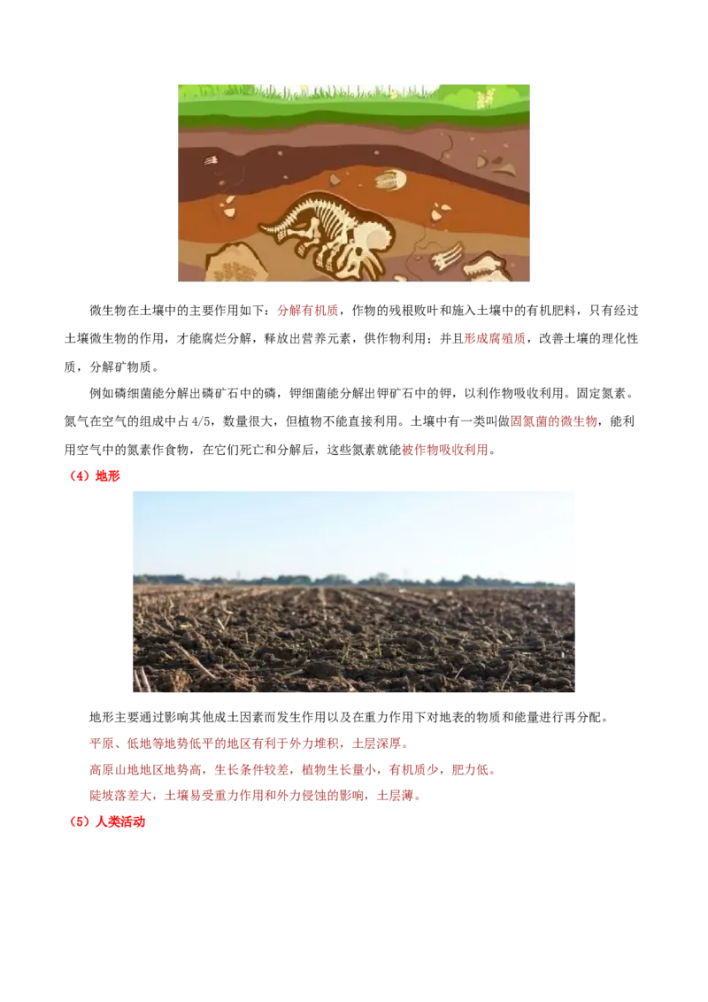 地理微考点：土壤形成因素-备战2023年高考总复习地理微考点狙击与专项突破_9.2025地理总复习_2023年新高考复习资料_专项复习_备战2023年高考地理总复习微考点狙击与专项测练_先导辑