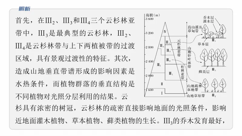 2025年高考地理二轮复习课件通用版素养1　专题1　主题2　区域差异性_9.2025地理总复习_2025年新高考资料_二轮复习_2025年高考地理二轮复习课件全国通用（ppt+pdf资源）