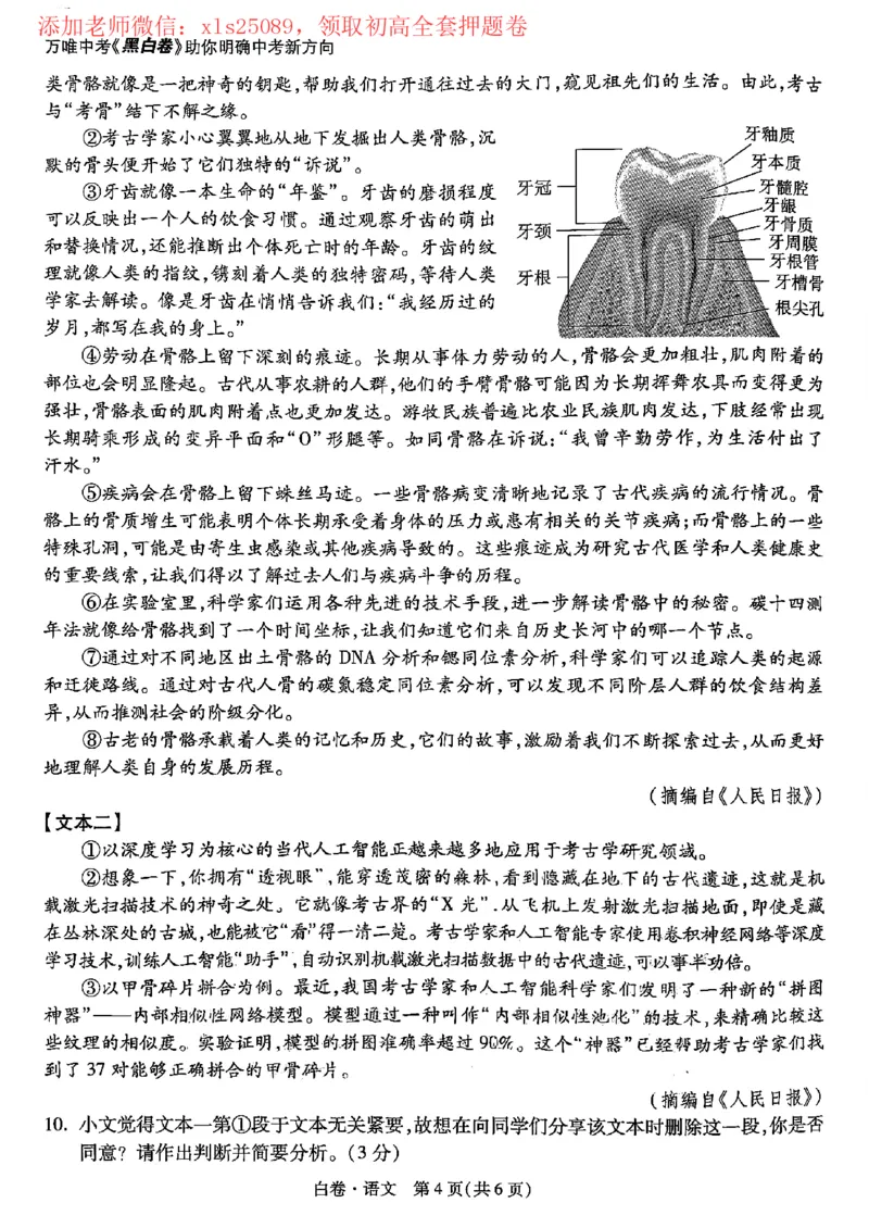 2025黑白卷（语文）_初中资料合集_2025《万唯中考&bull;黑白卷》多地方版（更30省）_2025《万唯中考&bull;黑白卷》7科全套（河南）