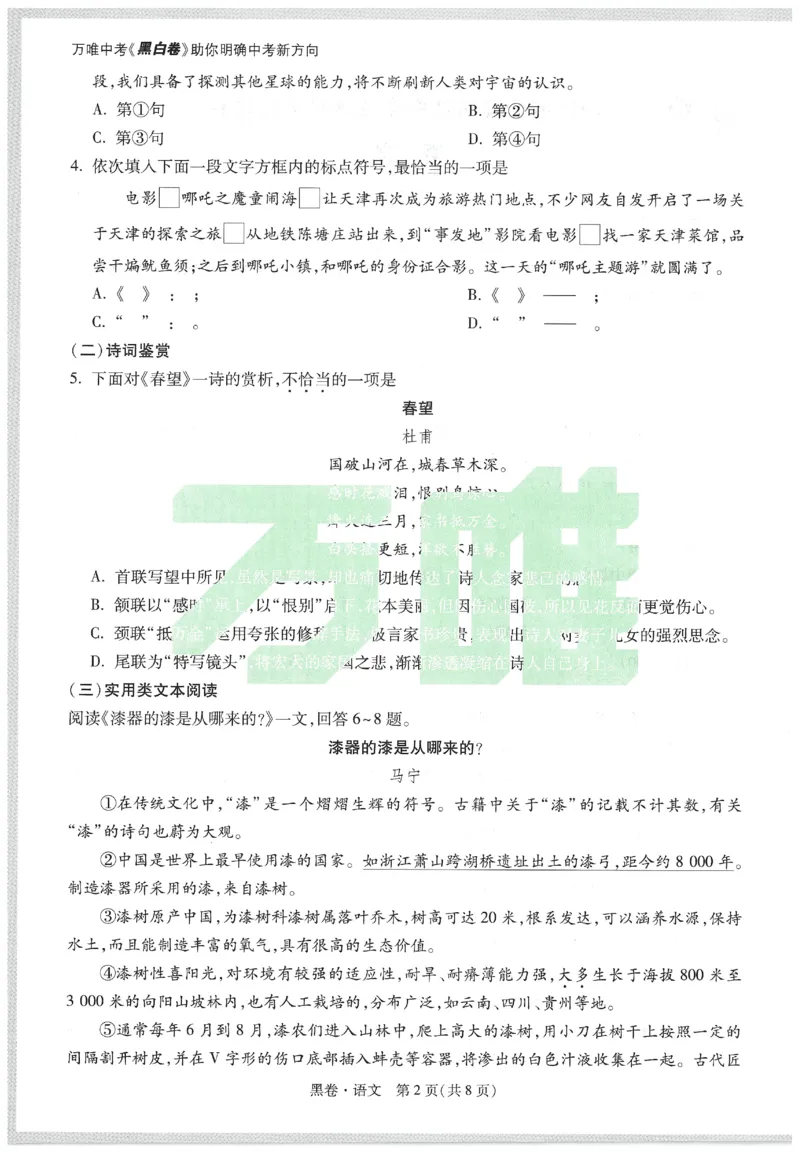 2025《万唯中考&bull;天津黑白卷》语文黑卷_初中资料合集_2025《万唯中考&bull;黑白卷》多地方版（更30省）_2025《万唯中考&bull;天津黑白卷》7科