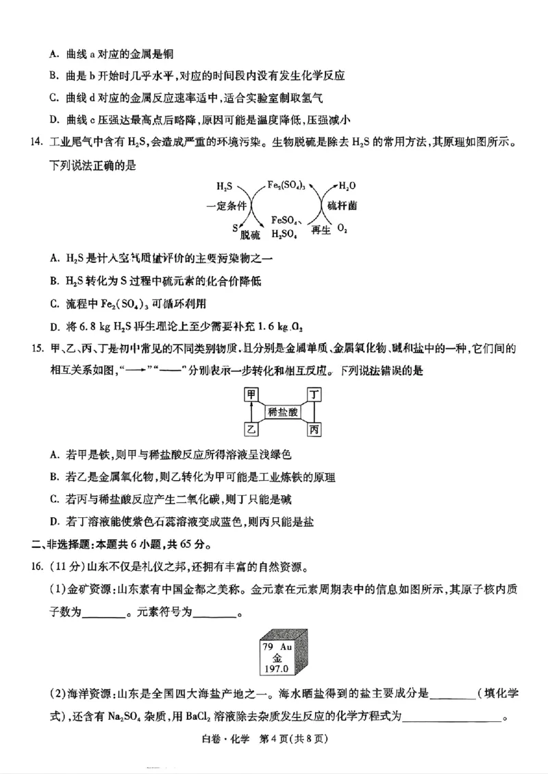 化学_白卷_初中资料合集_2025《万唯中考&bull;黑白卷》多地方版（更30省）_2025《万唯中考&bull;黑白卷》语文、数学、物理、化学、道法（山东）_化学