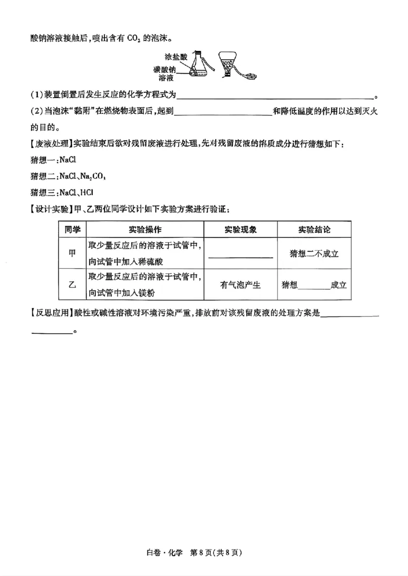 化学_白卷_初中资料合集_2025《万唯中考&bull;黑白卷》多地方版（更30省）_2025《万唯中考&bull;黑白卷》语文、数学、物理、化学、道法（山东）_化学