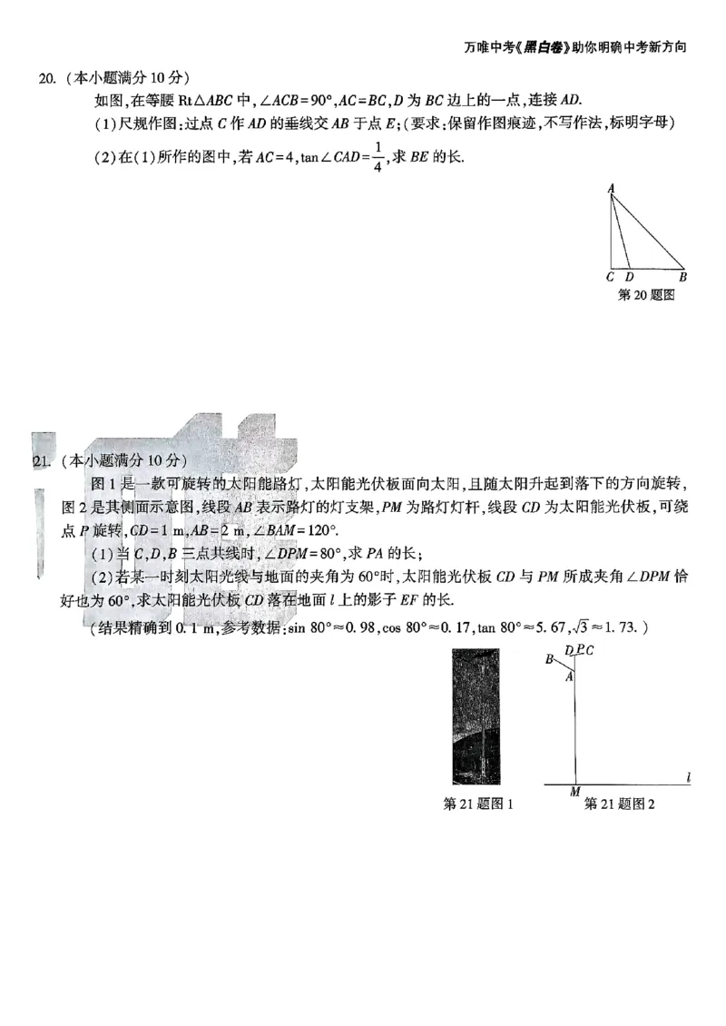 数学_白卷_初中资料合集_2025《万唯中考&bull;黑白卷》多地方版（更30省）_2025《万唯中考&bull;黑白卷》语文、数学、物理、化学、道法（山东）_数学