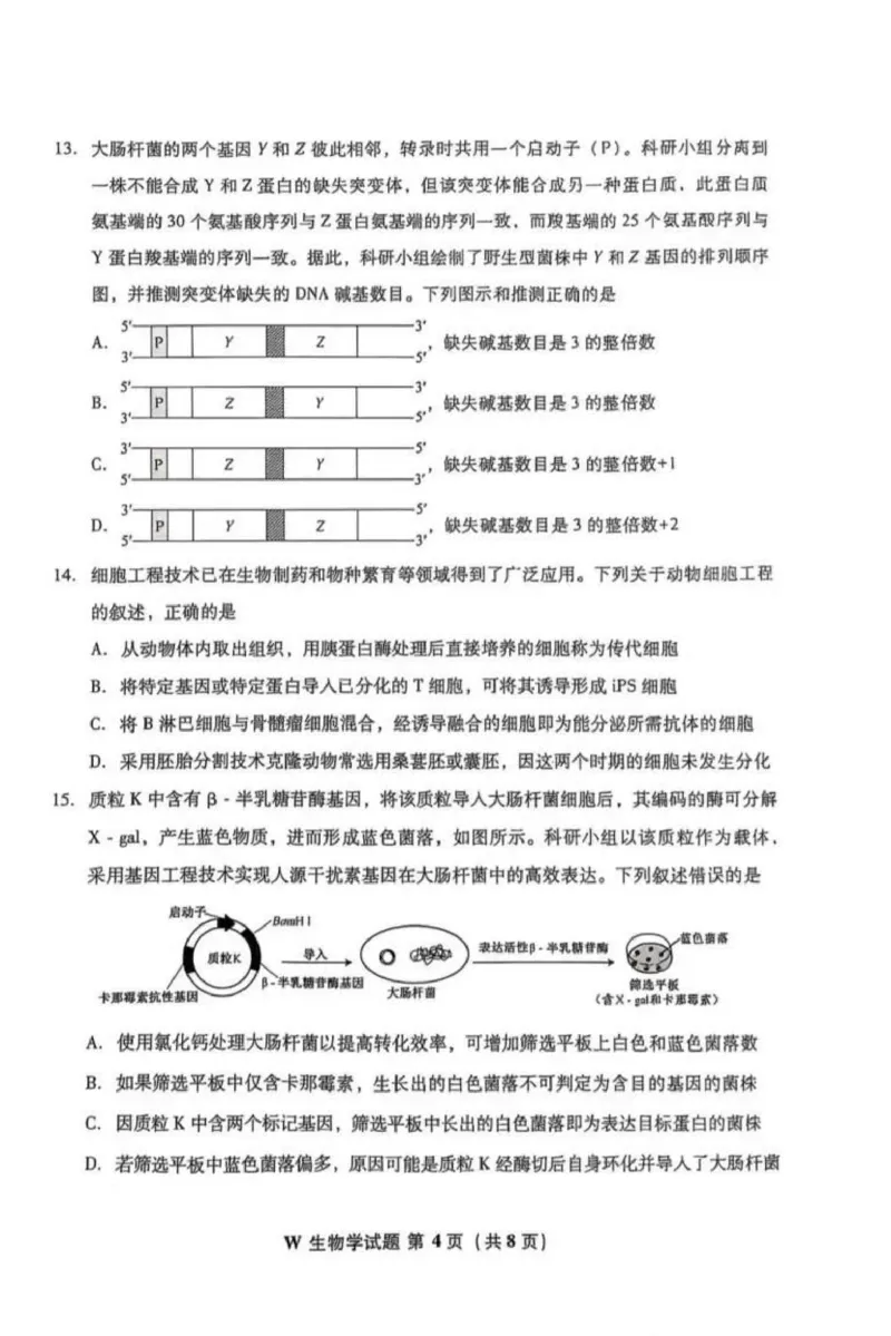 2025年安徽省普通高中选择性水平考试生物学(1)_高考真题2025年全国各地《高考真题汇总》9科全_2025《高考真题汇总》生物_2.安徽