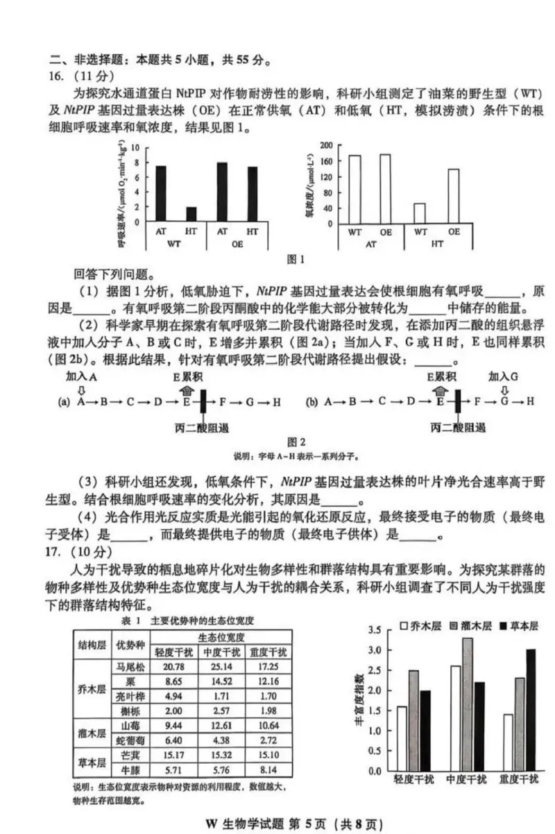 2025年安徽省普通高中选择性水平考试生物学(1)_高考真题2025年全国各地《高考真题汇总》9科全_2025《高考真题汇总》生物_2.安徽