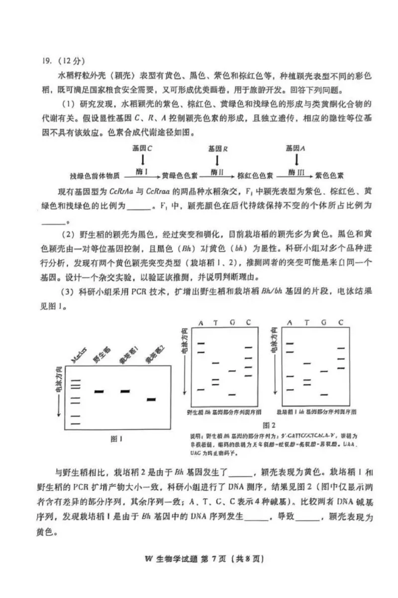 2025年安徽省普通高中选择性水平考试生物学(1)_高考真题2025年全国各地《高考真题汇总》9科全_2025《高考真题汇总》生物_2.安徽