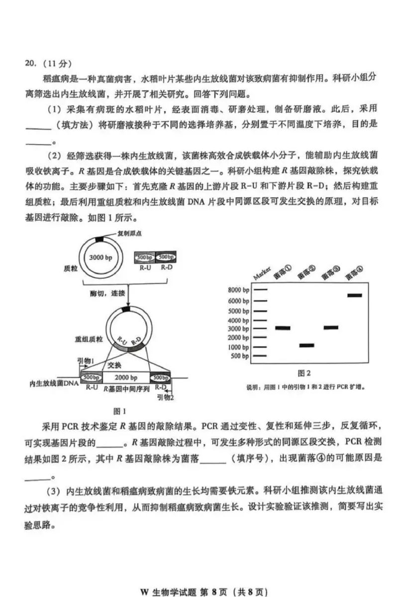 2025年安徽省普通高中选择性水平考试生物学(1)_高考真题2025年全国各地《高考真题汇总》9科全_2025《高考真题汇总》生物_2.安徽