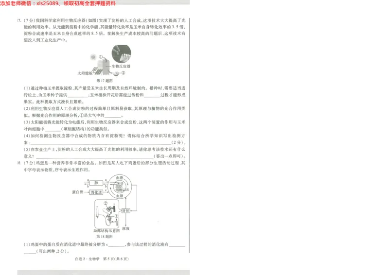 2025《万唯中考&bull;陕西黑白卷》生物白卷2A4_初中资料合集_万唯2025万唯中考《黑白卷-地生》多地版本（已更12省）_2025《万唯中考&bull;黑白卷》地生（陕西）