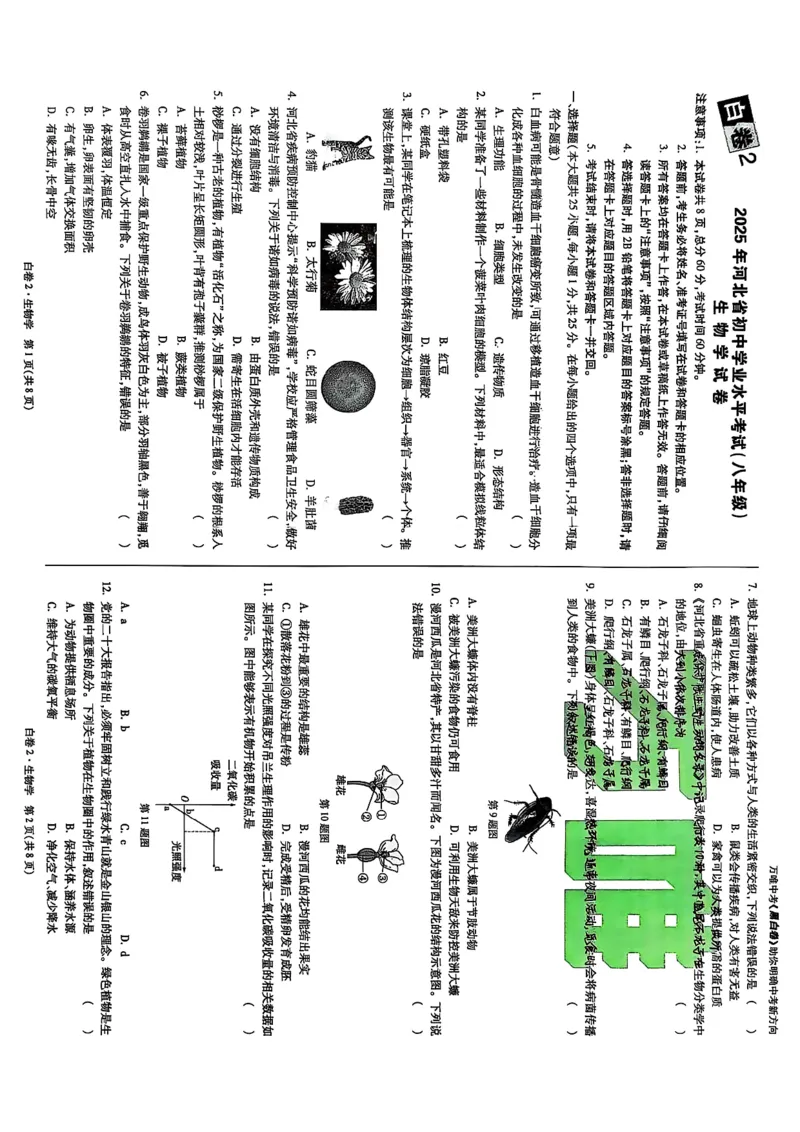 25年生物白卷2_初中资料合集_万唯2025万唯中考《黑白卷-地生》多地版本（已更12省）_2025《万唯中考&bull;黑白卷》地生（河北）