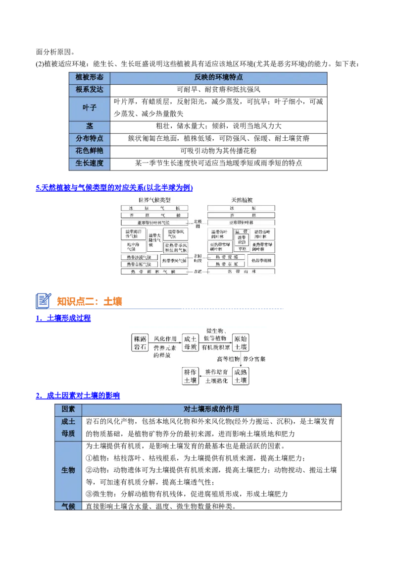 专题11自然地理环境的整体性与差异性（思维导图+4大知识点+5个能力拓展）2025年高考地理一轮复习知识清单_9.2025地理总复习_2025年新高考资料_一轮复习_2025年高考地理一轮复习知识清单