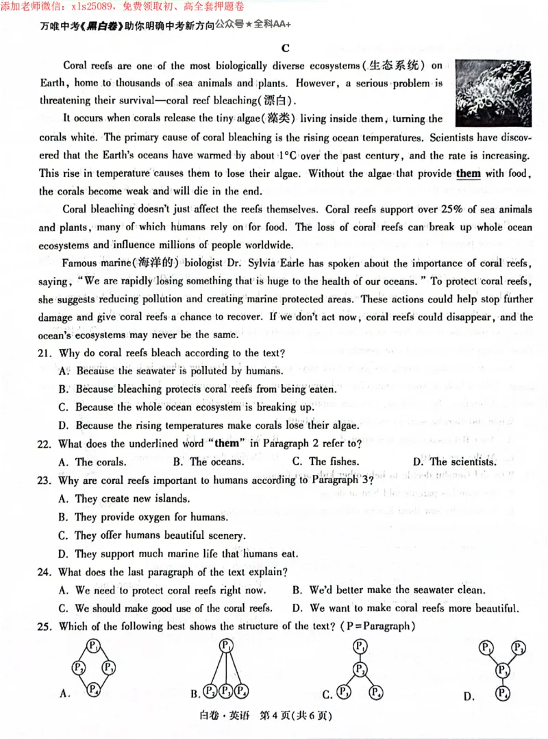 2025《万唯中考&bull;深圳黑白卷》英语白卷_初中资料合集_2025《万唯中考&bull;黑白卷》多地方版（更30省）_2025《万唯中考&bull;黑白卷》7科全套（深圳）