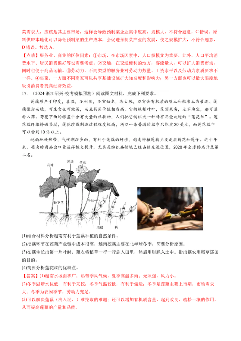 专题09产业区位与产业发展（练习）（解析版）_9.2025地理总复习_2024年新高考资料_2.2024二轮复习_2024年高考地理二轮复习讲练测（新教材新高考）