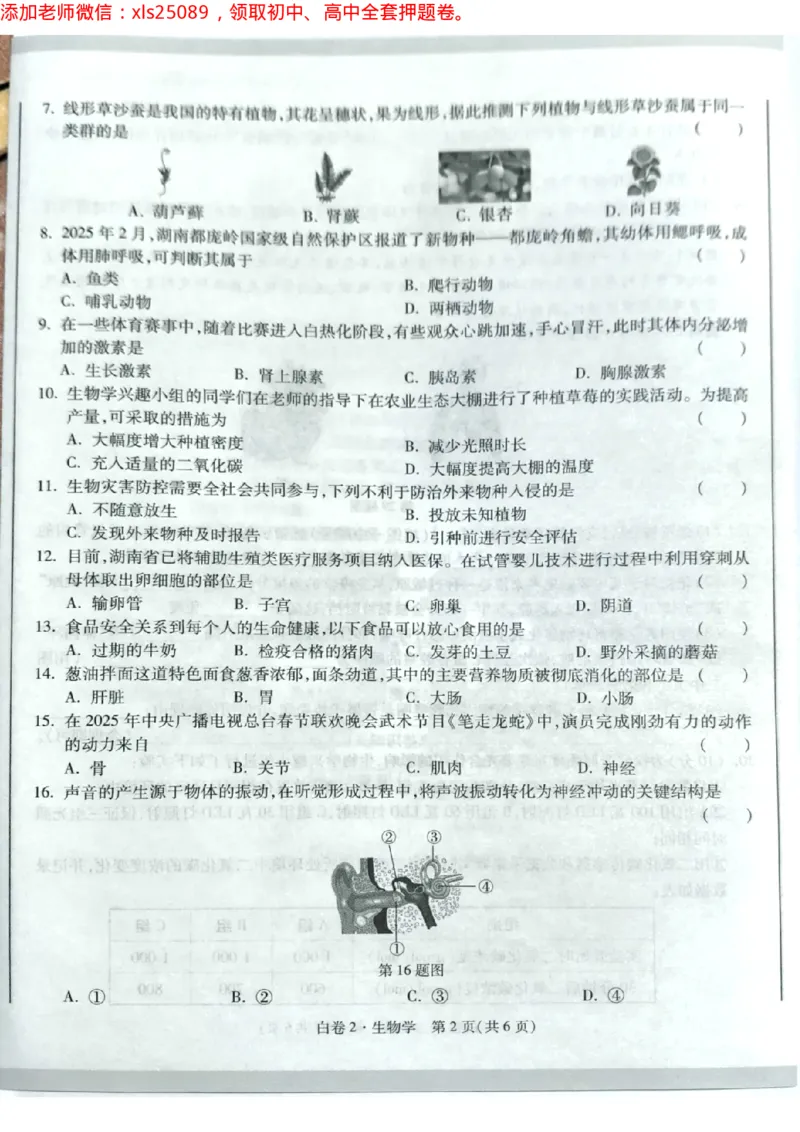 生物白卷2试卷_初中资料合集_万唯2025万唯中考《黑白卷-地生》多地版本（已更12省）_2025《万唯中考&bull;黑白卷》地生（湖南）