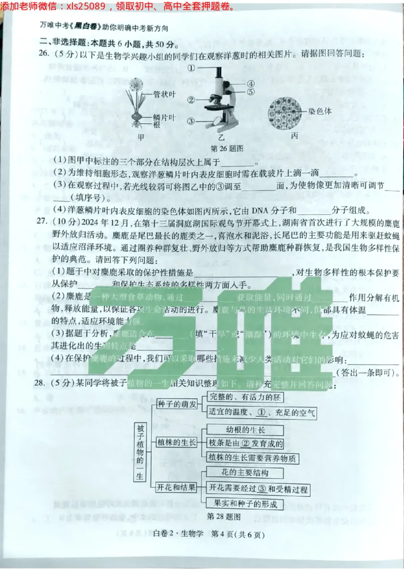 生物白卷2试卷_初中资料合集_万唯2025万唯中考《黑白卷-地生》多地版本（已更12省）_2025《万唯中考&bull;黑白卷》地生（湖南）