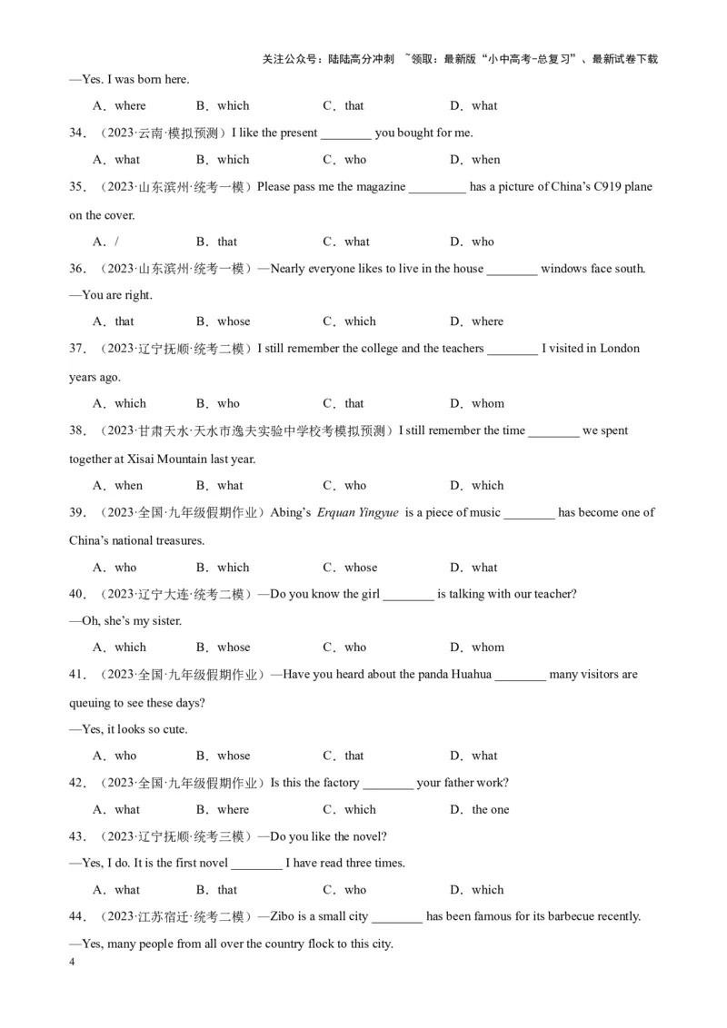 综合练13定语从句100题（六类题型全囊括）（原卷版）_02中考总复习（2026版更新中）_03-英语-中考总复习_2024年中考复习资料_专项复习资料_语法宝典备战2024年中考英语语法培优生笔记