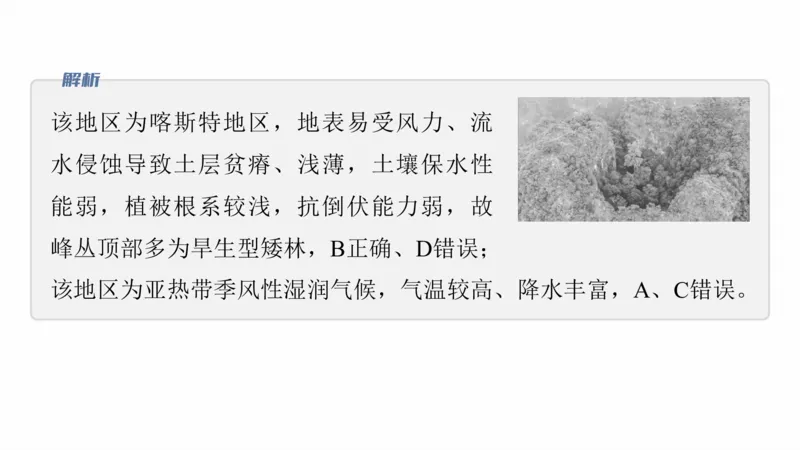 2025年高考地理二轮复习课件通用版专题2　区域尺度_9.2025地理总复习_2025年新高考资料_二轮复习_2025年高考地理二轮复习课件全国通用（ppt+pdf资源）