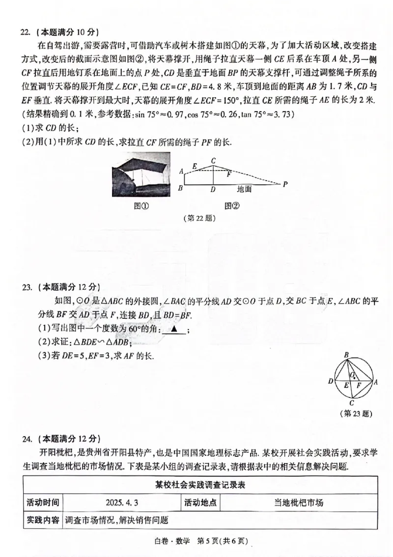 2025《万唯中考&bull;贵州黑白卷》数学白卷_初中资料合集_2025《万唯中考&bull;黑白卷》多地方版（更30省）_2025《万唯中考&bull;黑白卷》5科全套（贵州）