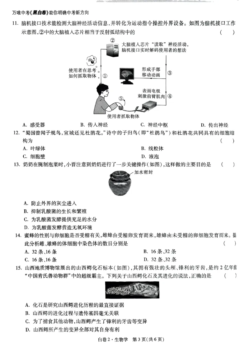 2025《万唯中考&bull;山西黑白卷》生物白卷2_初中资料合集_2025《万唯中考&bull;黑白卷》多地方版（更30省）_2025《万唯中考&bull;山西黑白卷》7科