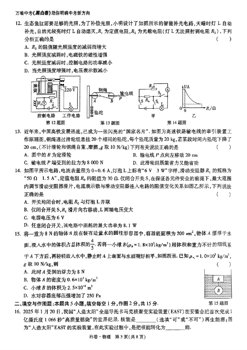 物理_白卷_初中资料合集_2025《万唯中考&bull;黑白卷》多地方版（更30省）_2025《万唯中考&bull;黑白卷》语文、数学、物理、化学、道法（山东）_物理