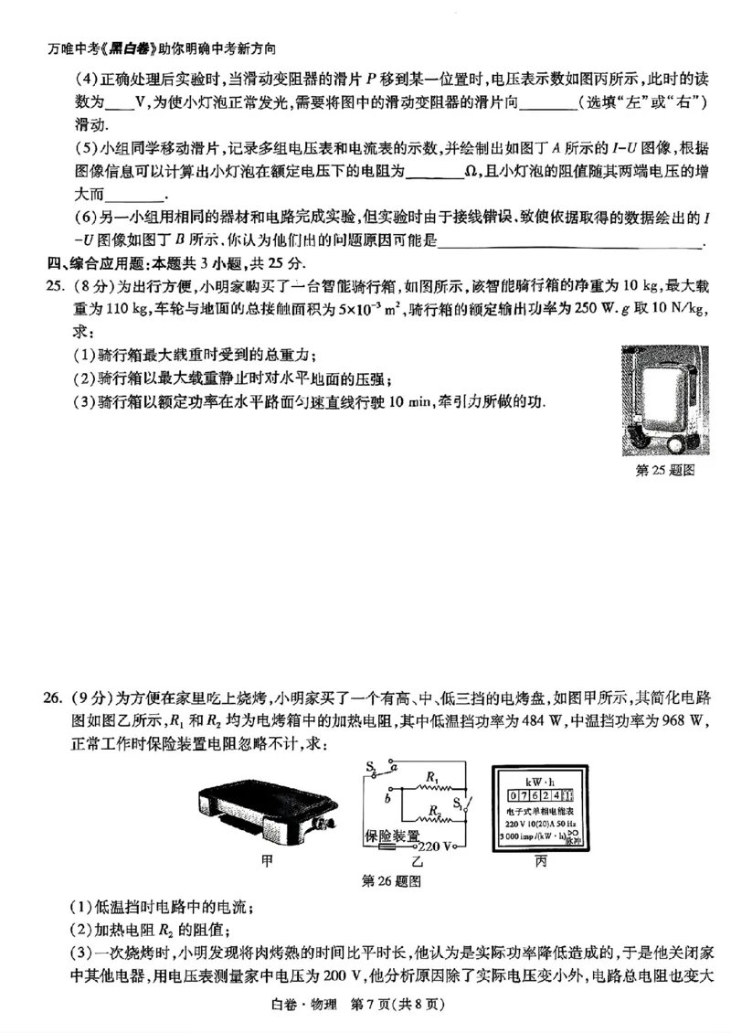 物理_白卷_初中资料合集_2025《万唯中考&bull;黑白卷》多地方版（更30省）_2025《万唯中考&bull;黑白卷》语文、数学、物理、化学、道法（山东）_物理