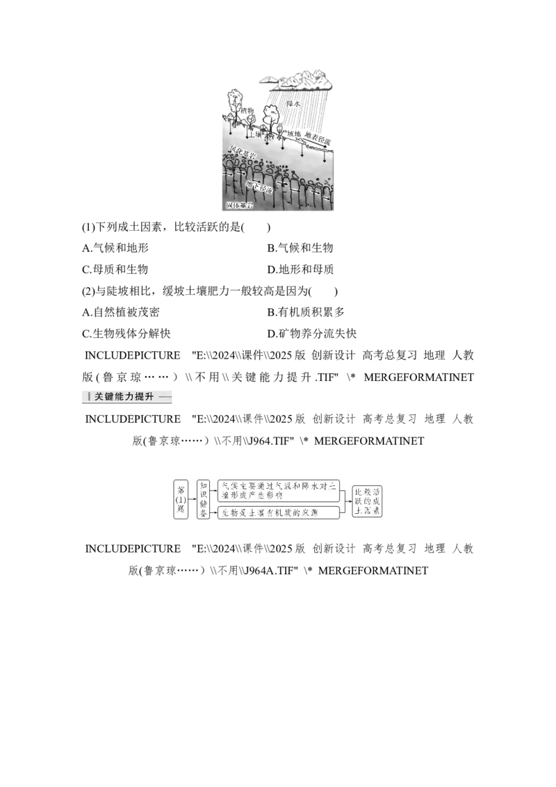 2025届高中地理一轮复习讲义：第一部分自然地理第八单元自然环境的整体性与差异性第39课时　土壤（教师版）_9.2025地理总复习_2025年新高考资料_一轮复习