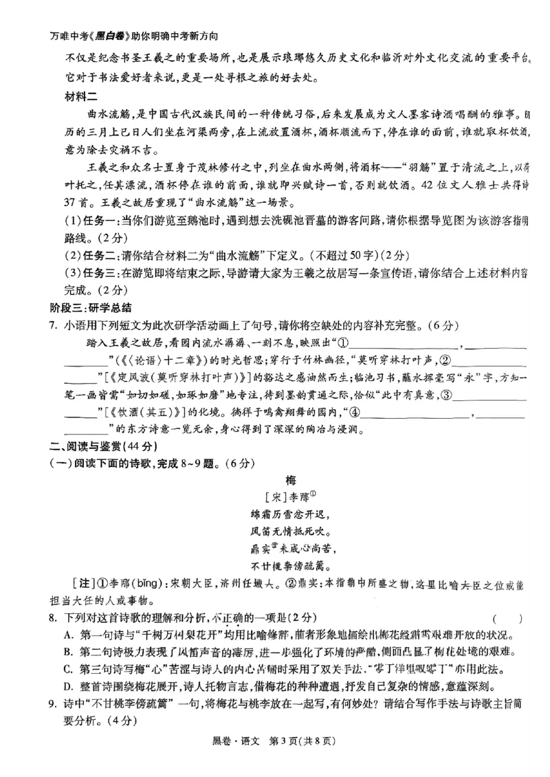 语文黑卷_初中资料合集_2025《万唯中考&bull;黑白卷》多地方版（更30省）_2025《万唯中考&bull;黑白卷》语文、数学、物理、化学、道法（山东）_语文