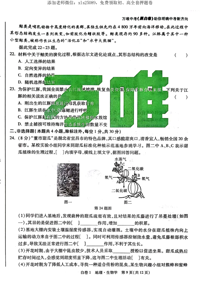 2025《万唯中考&bull;湖北黑白卷》生物卷_初中资料合集_万唯2025万唯中考《黑白卷-地生》多地版本（已更12省）_2025《万唯中考&bull;黑白卷》地生（湖北）