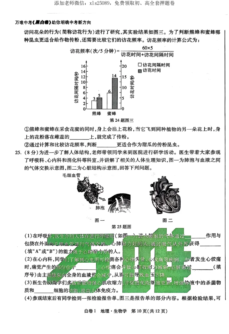 2025《万唯中考&bull;湖北黑白卷》生物卷_初中资料合集_万唯2025万唯中考《黑白卷-地生》多地版本（已更12省）_2025《万唯中考&bull;黑白卷》地生（湖北）