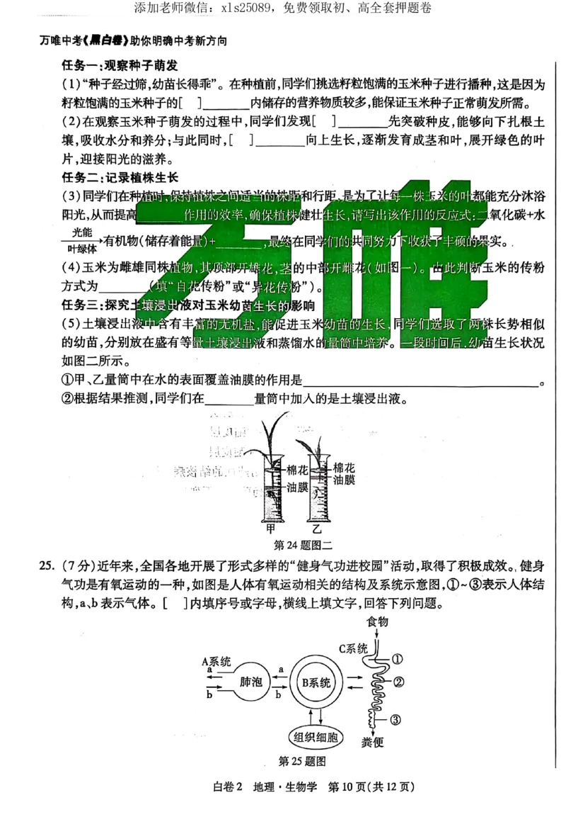 2025《万唯中考&bull;湖北黑白卷》生物卷_初中资料合集_万唯2025万唯中考《黑白卷-地生》多地版本（已更12省）_2025《万唯中考&bull;黑白卷》地生（湖北）