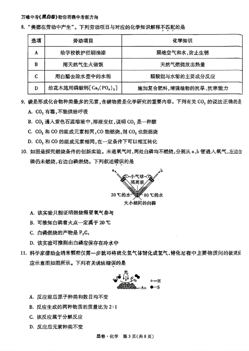 化学黑卷_初中资料合集_2025《万唯中考&bull;黑白卷》多地方版（更30省）_2025《万唯中考&bull;黑白卷》语文、数学、物理、化学、道法（山东）_化学