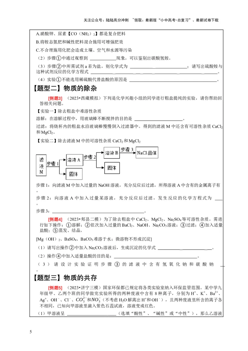 精练06物质的检验、鉴别、除杂、共存（原卷版）_02中考总复习（2026版更新中）_05-化学-中考总复习_2024年中考复习资料_二轮复习资料_2024年中考化学二轮题型突破限时精练