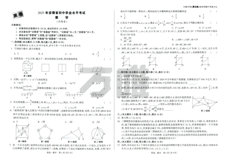 中考黑白卷全科（版本2）_初中资料合集_2025《万唯中考&bull;黑白卷》多地方版（更30省）_2025《万唯中考&bull;黑白卷》7科全套（安徽）