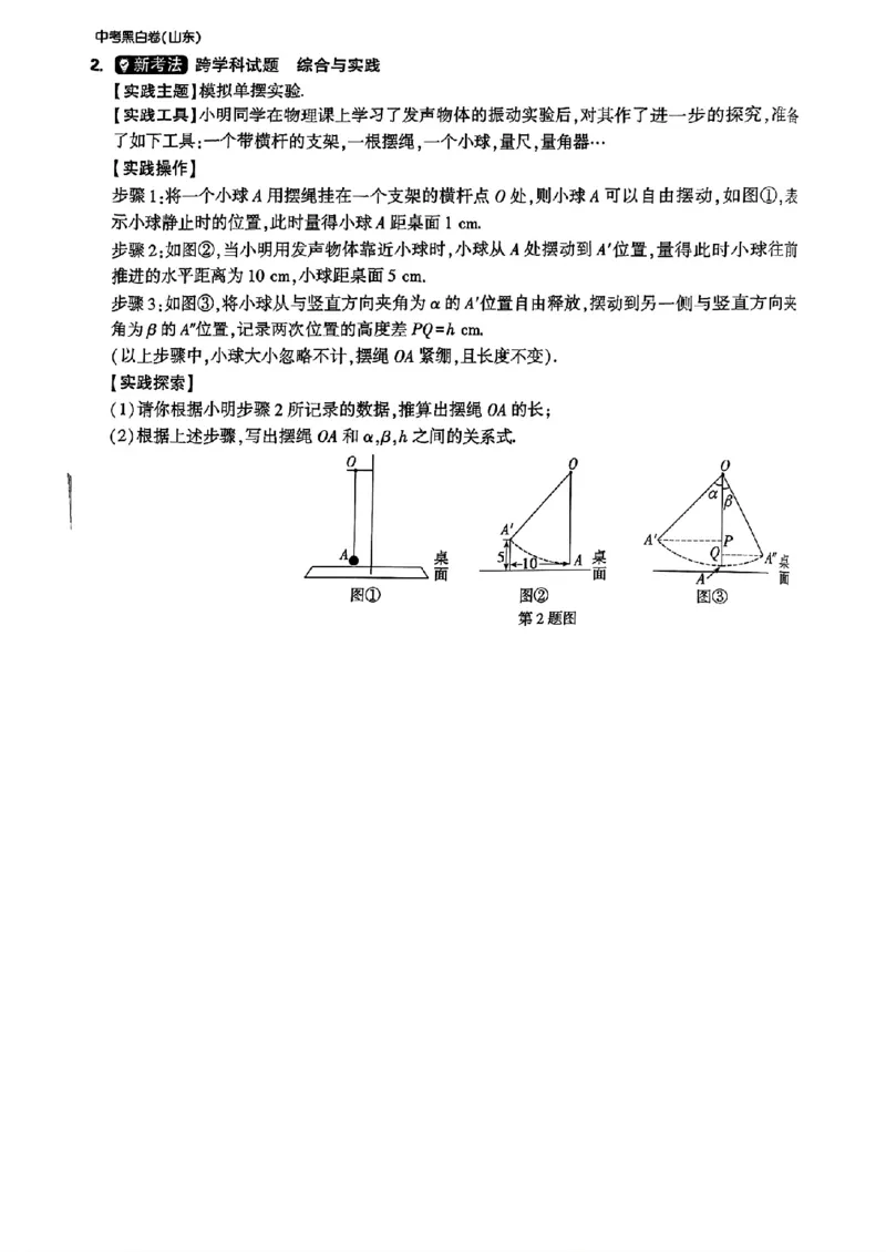 重难点题_初中资料合集_2025《万唯中考&bull;黑白卷》多地方版（更30省）_2025《万唯中考&bull;黑白卷》语文、数学、物理、化学、道法（山东）