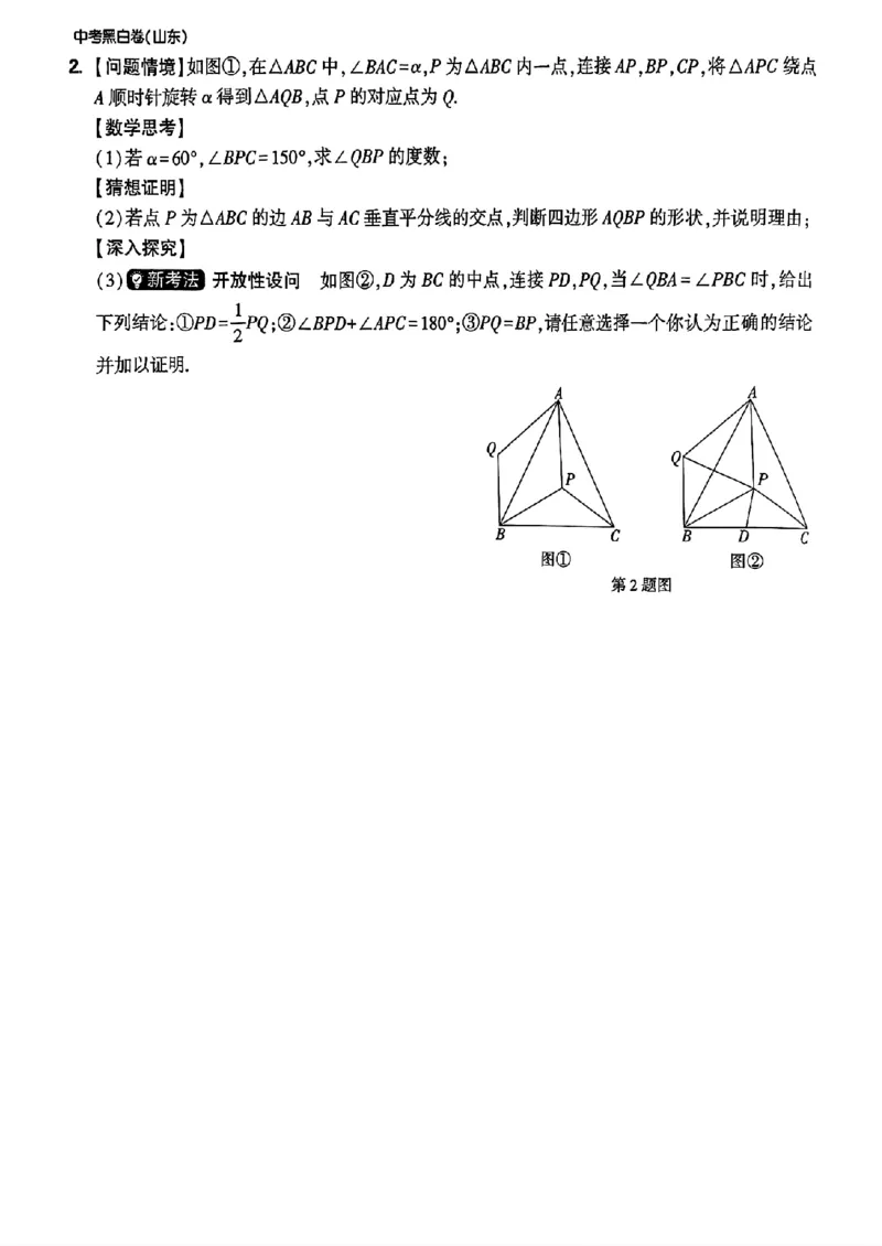 重难点题_初中资料合集_2025《万唯中考&bull;黑白卷》多地方版（更30省）_2025《万唯中考&bull;黑白卷》语文、数学、物理、化学、道法（山东）