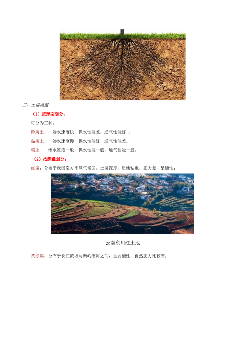 地理微考点：土壤结构、土壤类型-备战2023年高考总复习地理微考点狙击与专项突破_9.2025地理总复习_2023年新高考复习资料_专项复习_备战2023年高考地理总复习微考点狙击与专项测练