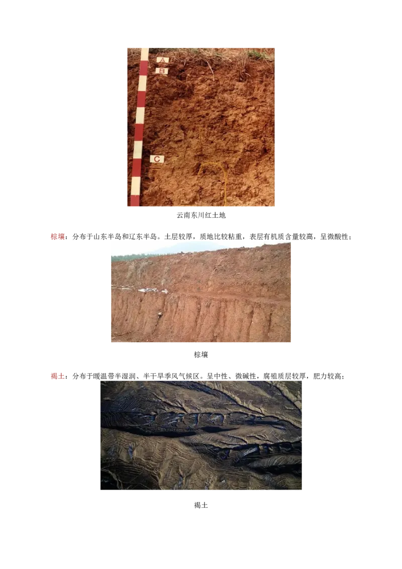地理微考点：土壤结构、土壤类型-备战2023年高考总复习地理微考点狙击与专项突破_9.2025地理总复习_2023年新高考复习资料_专项复习_备战2023年高考地理总复习微考点狙击与专项测练
