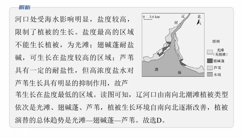 2025年高考地理二轮复习课件通用版专题5　主题6　植被演替_9.2025地理总复习_2025年新高考资料_二轮复习_2025年高考地理二轮复习课件全国通用（ppt+pdf资源）