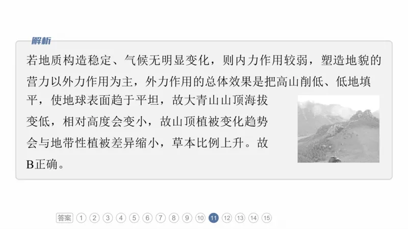 2025年高考地理二轮复习课件通用版专题5　主题6　植被演替_9.2025地理总复习_2025年新高考资料_二轮复习_2025年高考地理二轮复习课件全国通用（ppt+pdf资源）